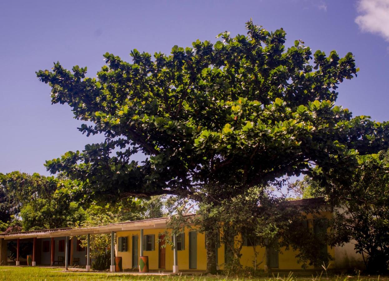 Namaste Pousada E Camping Cananéia Exterior foto